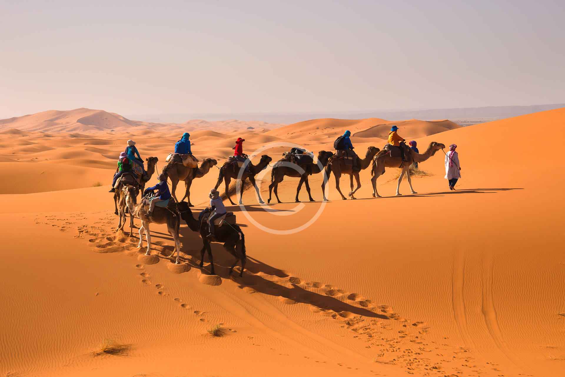 Camel caravan